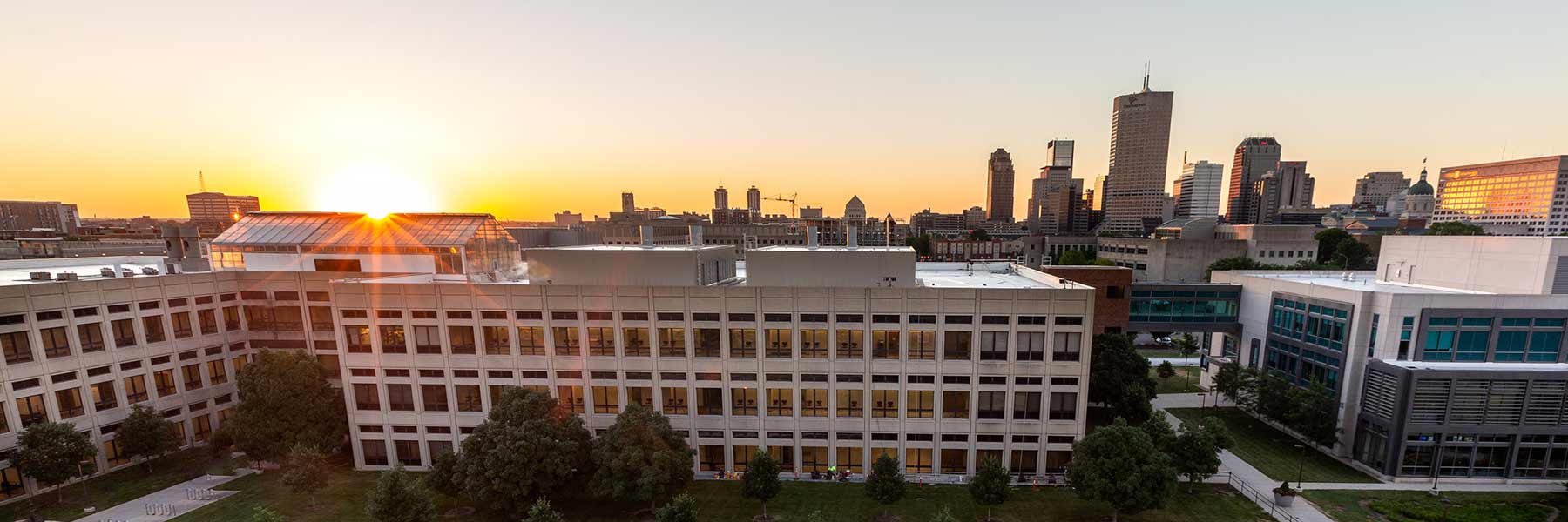 A view of the Indianapolis skyline from campus at sunrise